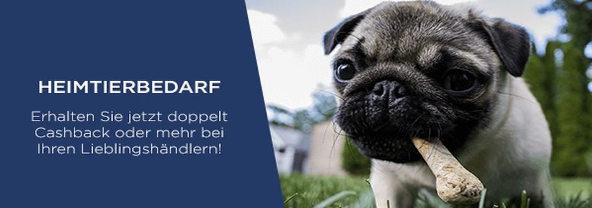 Großer Sale: Bis zu 15% Cashback auf Heimtierbedarf!